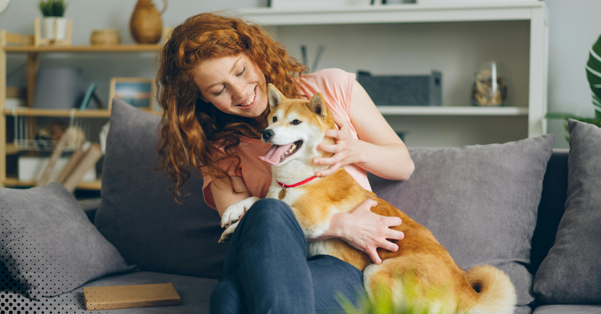 A woman lovingly playing with her dog on a couch in a cozy living room.