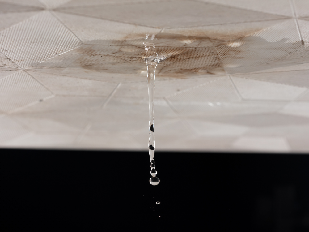 Active water leak dripping from ceiling indicating interior moisture issue.