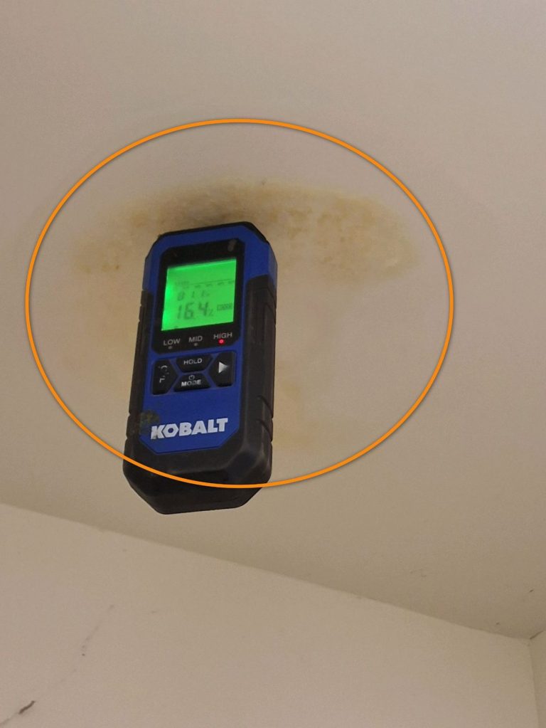 lawrenceville-ga-home-inspection-moisture-meter[1]